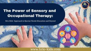 Occupational Therapy